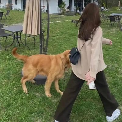 星际监狱